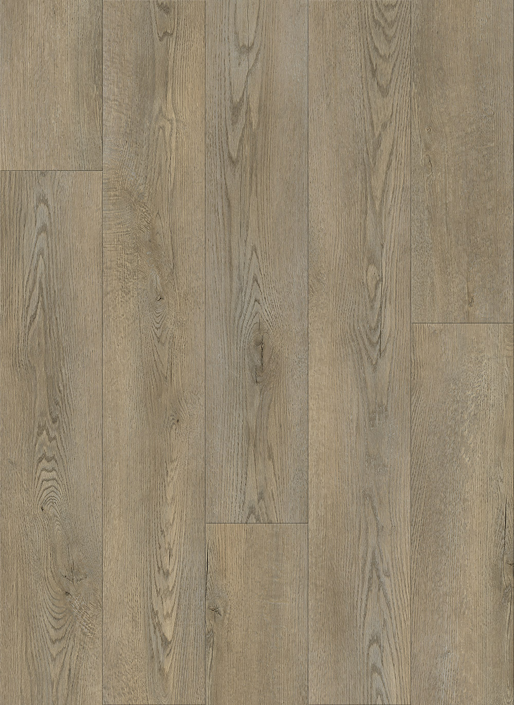 Nod to Nature Reimagined Taupe Dry Back LVT 1LV07008