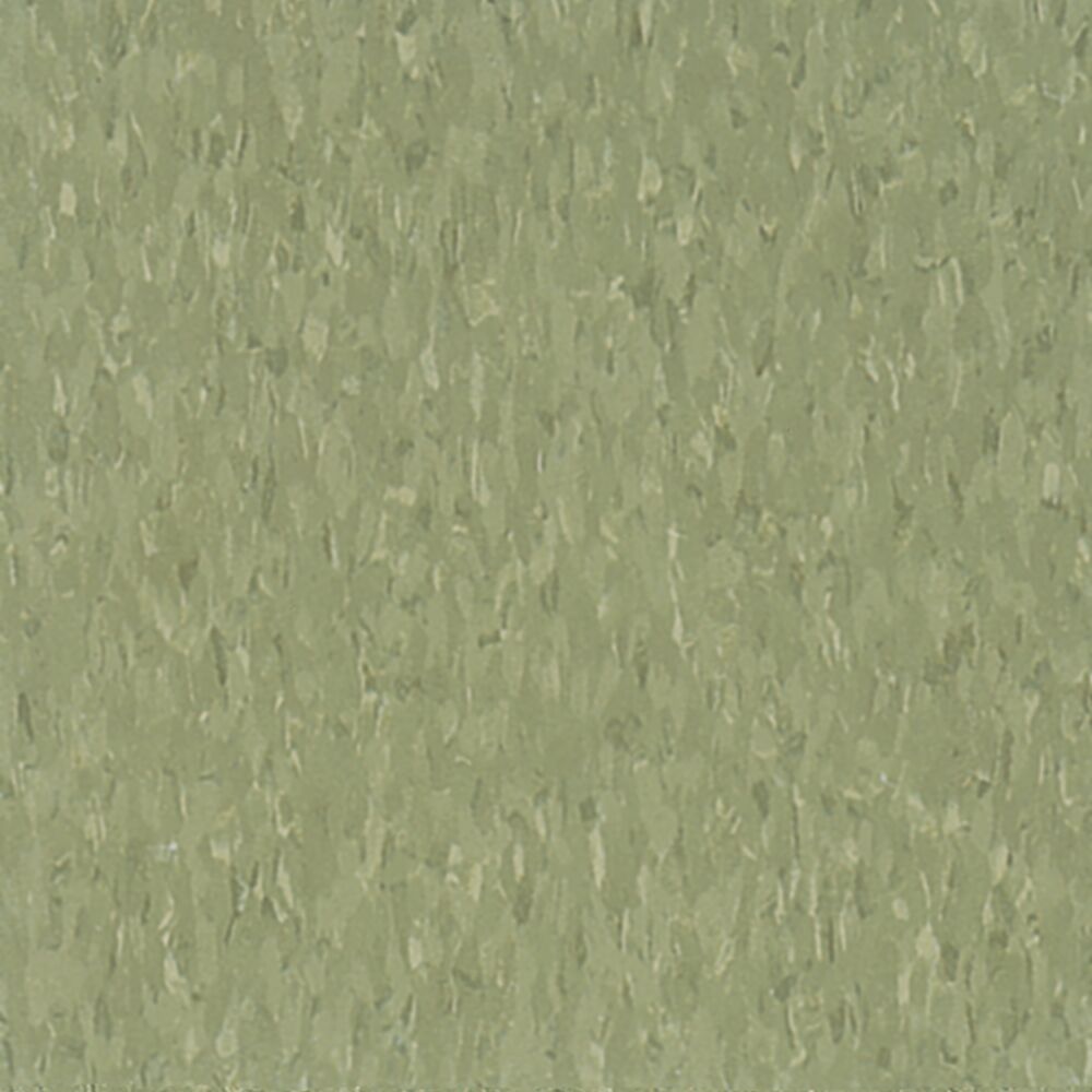 Highlights Green Olive Vinyl Composition Tile HR011